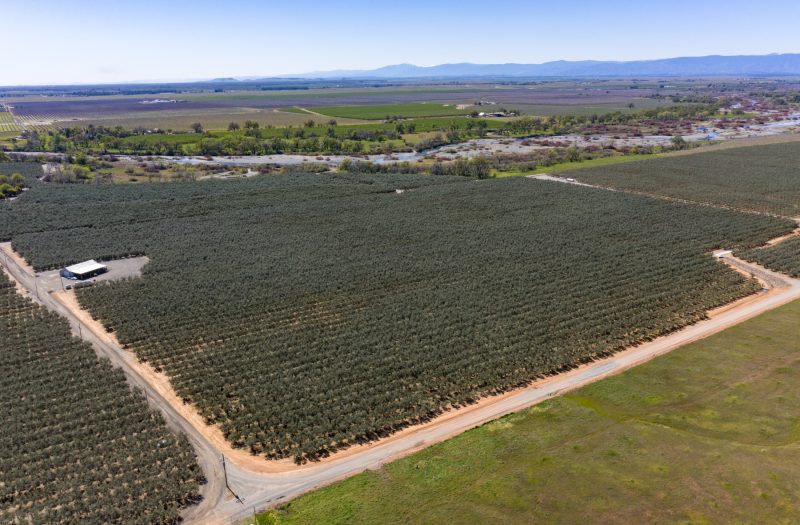 009-20220311-DJI_0106