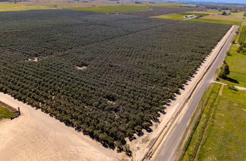 022-20220311-DJI_0583