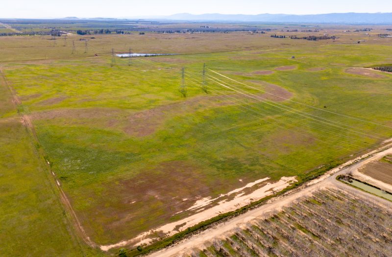 025-20220311-DJI_0586