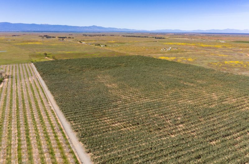 029-20220311-DJI_0126