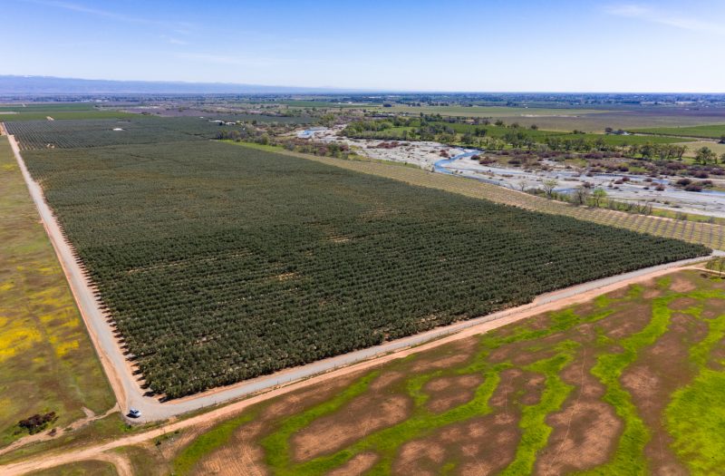 032-20220311-DJI_0129